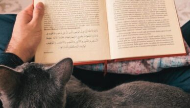 Саид Нурси о кошках и исламе