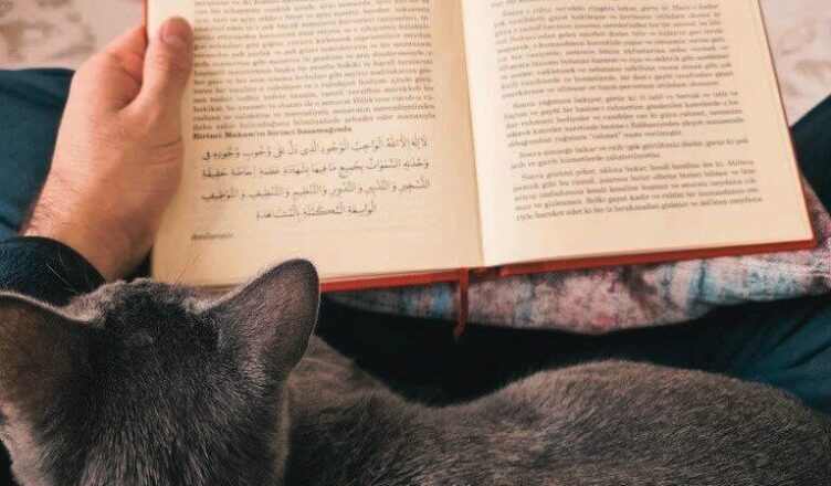 Саид Нурси о кошках и исламе